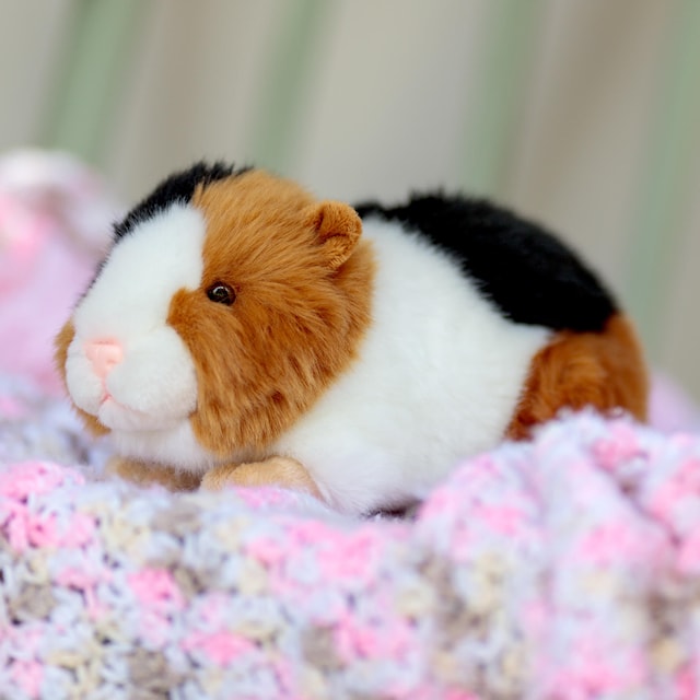 Animigos World Of Nature Guinea Pig Tobar