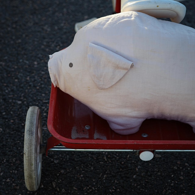 Tuotekuva 3 - Lotta Kilkimäenkadulla Nallepehmolelu Rätt Start