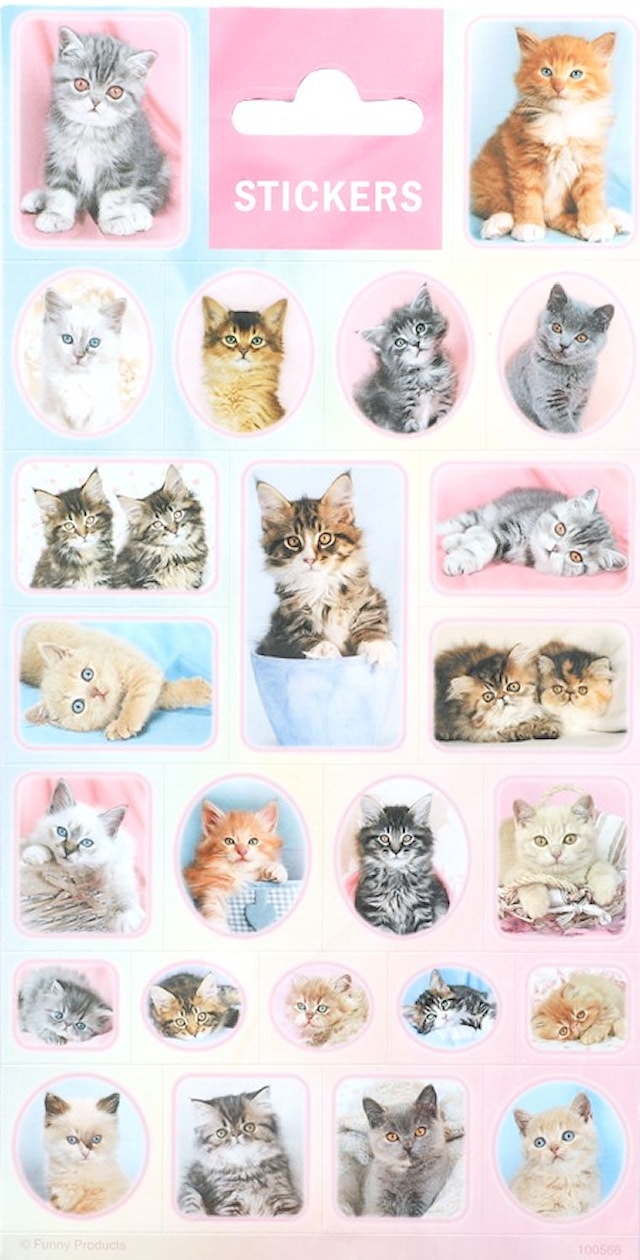 Tarrat Kissanpennut 1 arkki