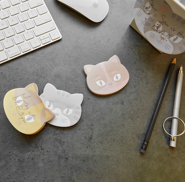 Tuotekuva 6 - Muistilappu Kissa Kikkerland