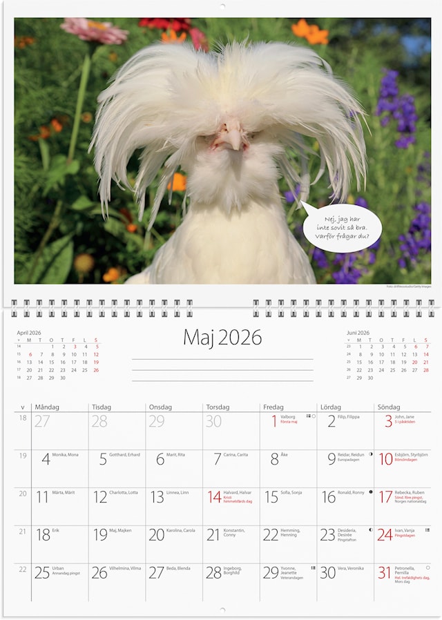 Tuotekuva 2 - Väggkalender 2026 Djurkul 250x176 mm Burde