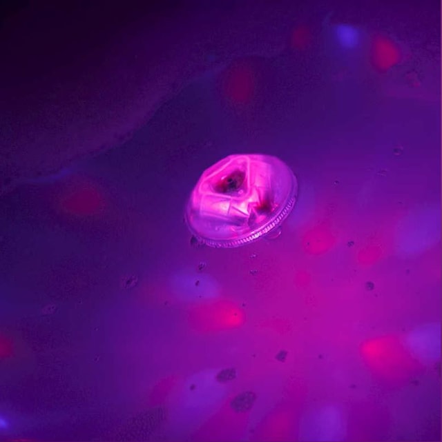 Produktbilde 5 for Diskolys til badekar