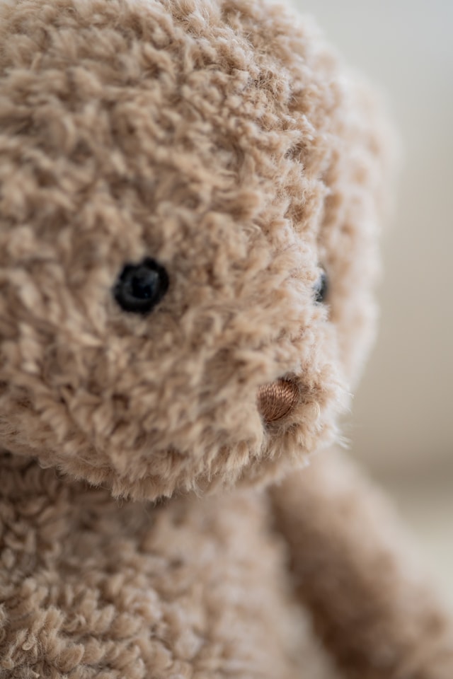 Tuotekuva 2 - Retro Pals Nalle Teddykompaniet