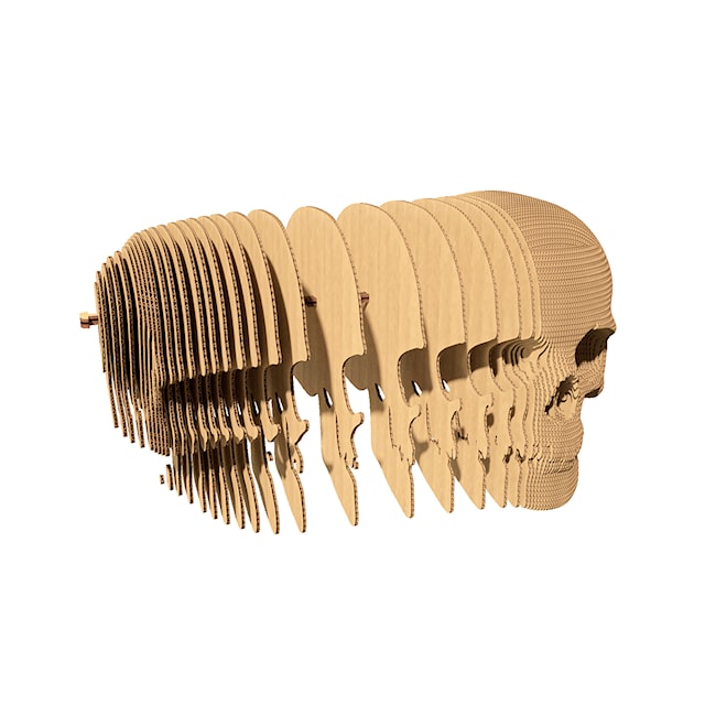 Produktbild 2 för Cartonic 3D Pussel Döskalle