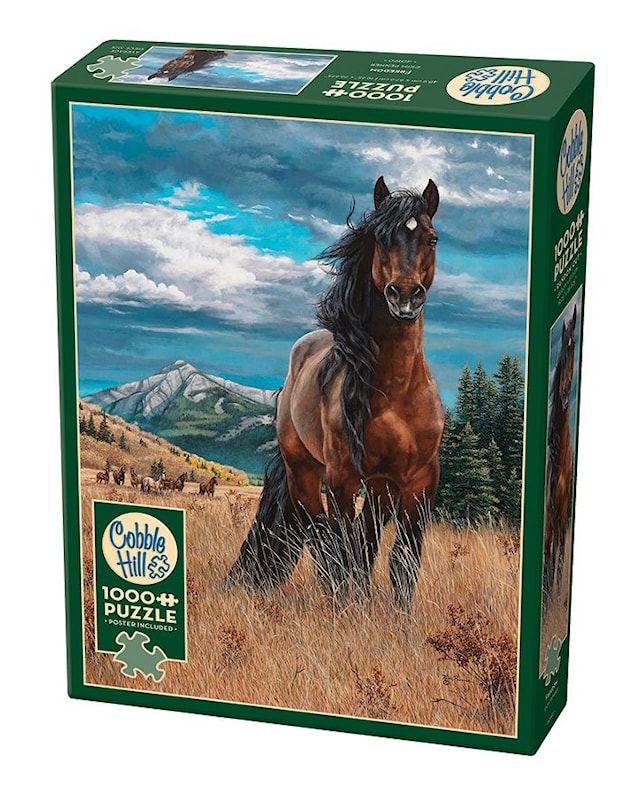 Produktbild 1 för Pussel Freedom 1000 bitar Cobble Hill