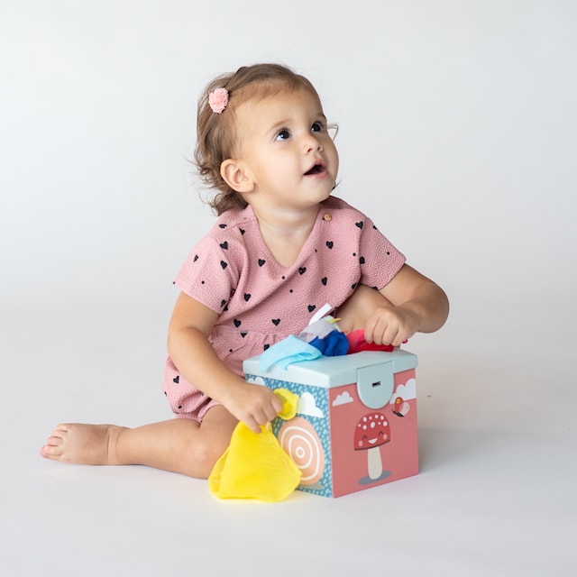 Produktbild 1 för Plocklåda Fjädrar Taf Toys