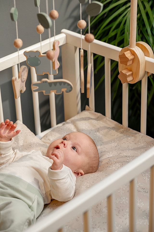 Produktbilde 2 for Tremobil Safari Jabadabado