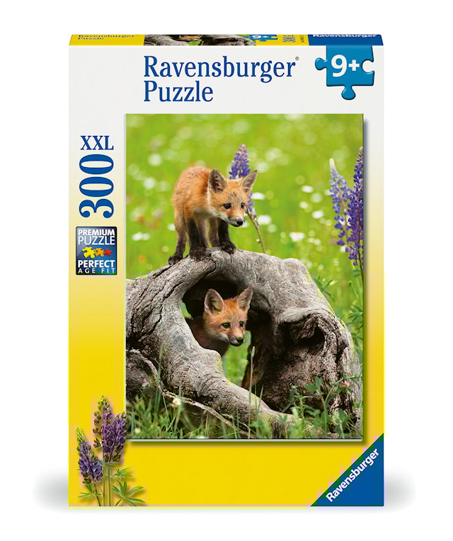 Produktbild 1 för Pussel Curious Foxes 300 XXL bitar, Ravensburger