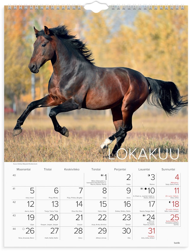 Produktbild 2 för Seinäkalenteri 2026 Hevoset 295x390 mm Burde