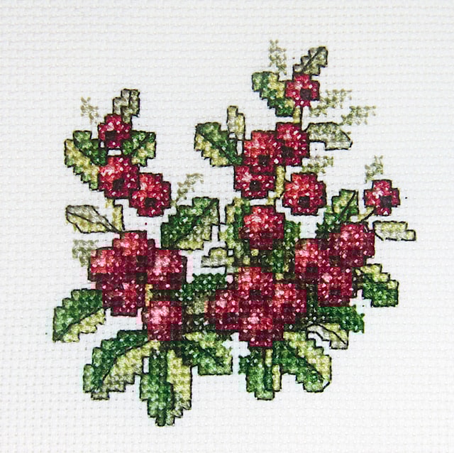 Broderisett med tyttebær 10x10 cm RTO