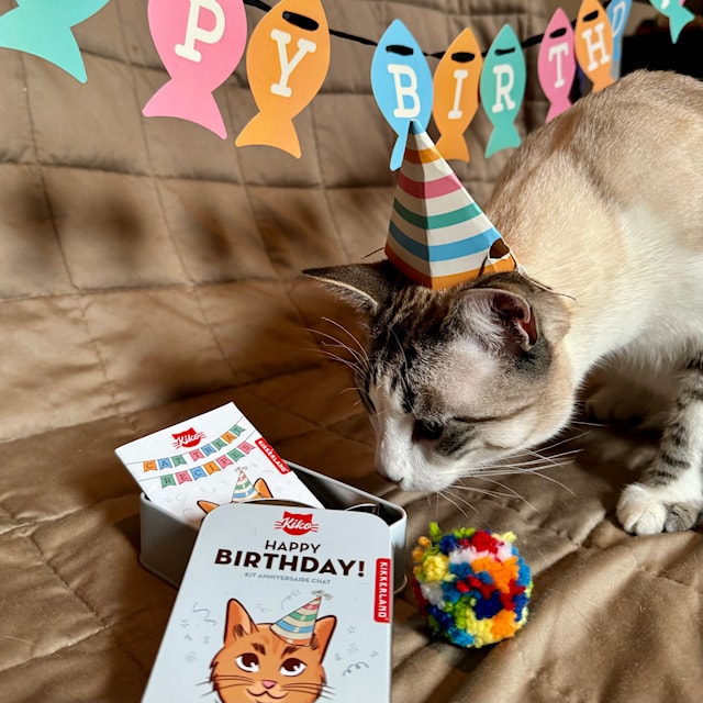 Produktbild 3 för Happy Birthday Cat Tin Kikkerland