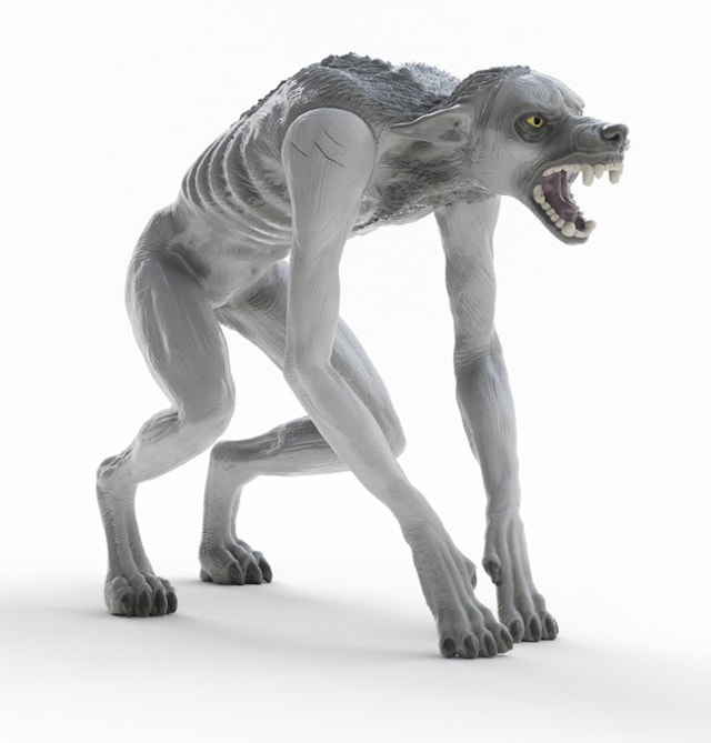 Tuotekuva 3 - Wizarding World Ihmissusi ja Animagus Schleich