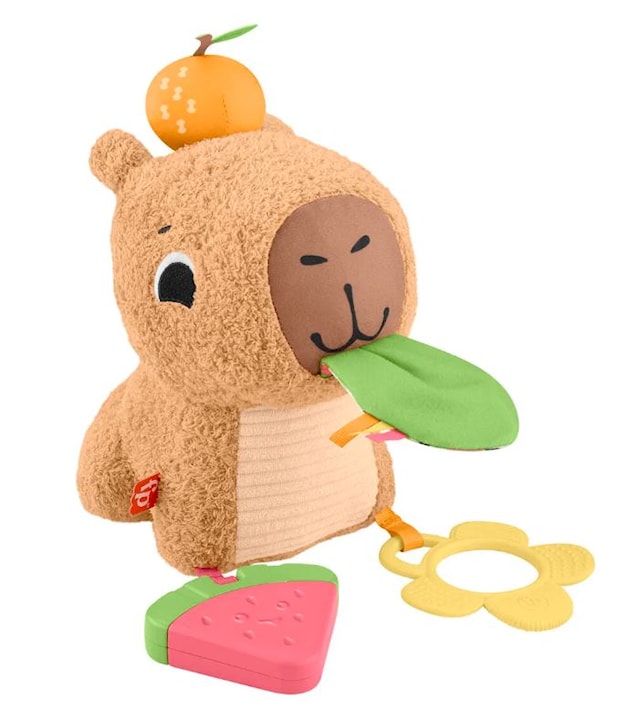 Produktbild 1 för Snuggly Snacky Capy Aktivitetsleksaker Fisher-Price
