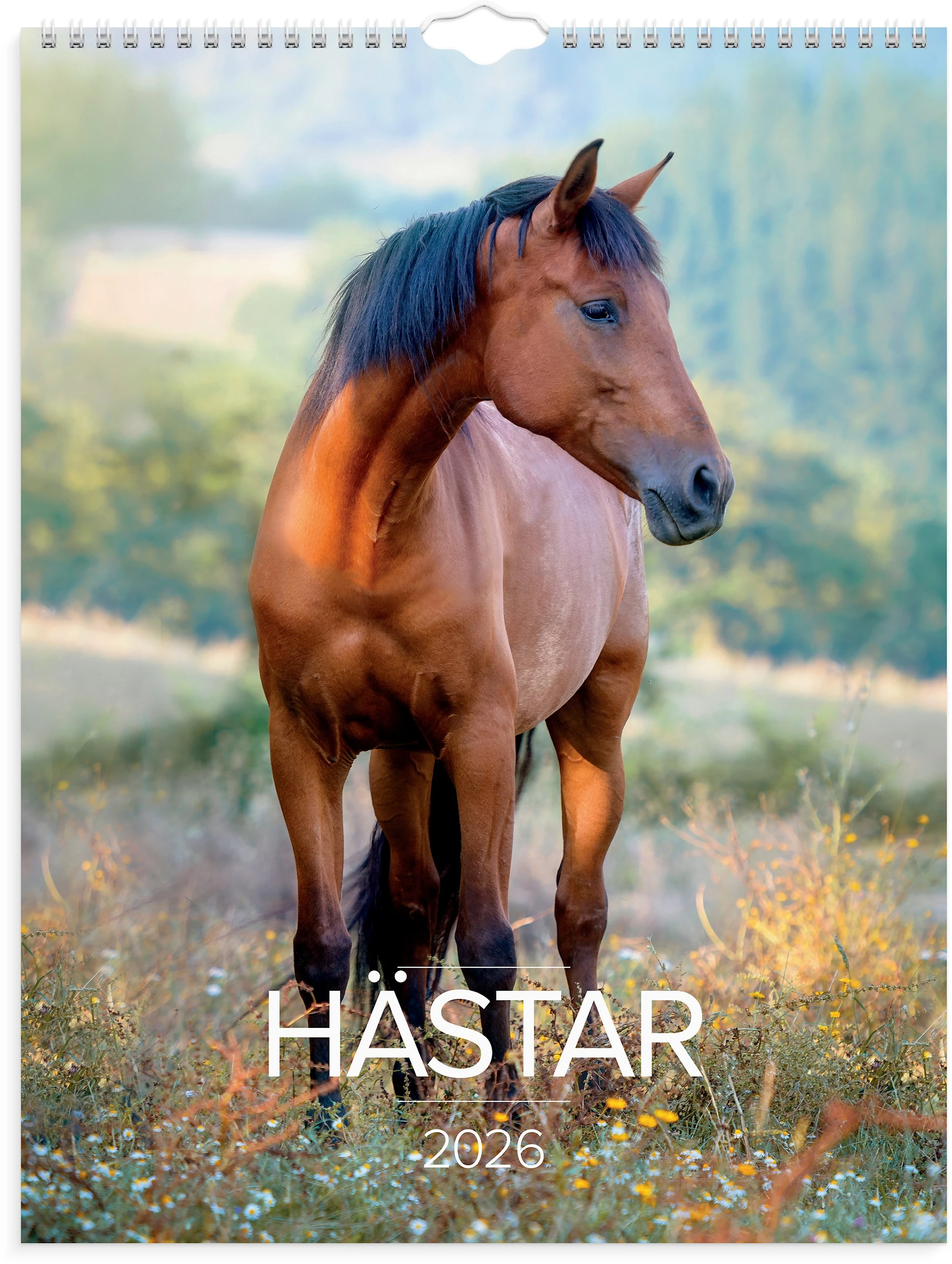 Produktbild för Väggkalender 2026 Stora Hästkalendern 295x390 mm Burde