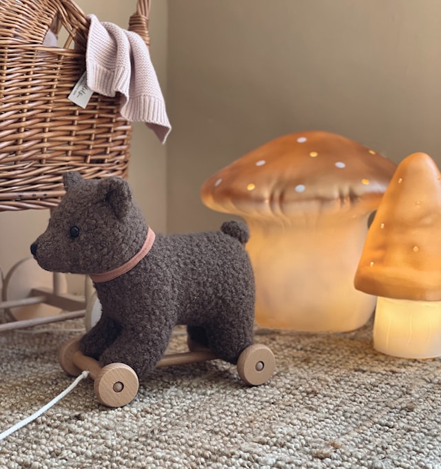 Produktbild 2 för Nalle Raoul Dragleksak Egmont Toys