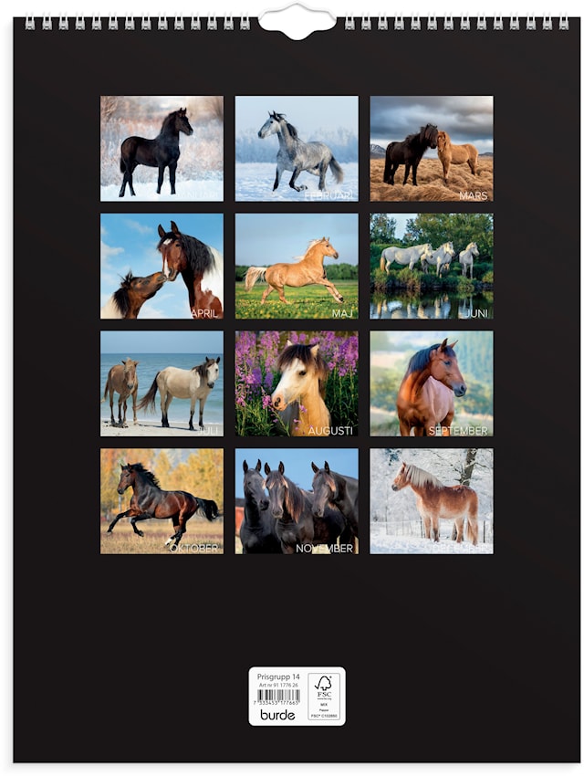 Produktbilde 3 for Väggkalender 2026 Stora Hästkalendern 295x390 mm Burde