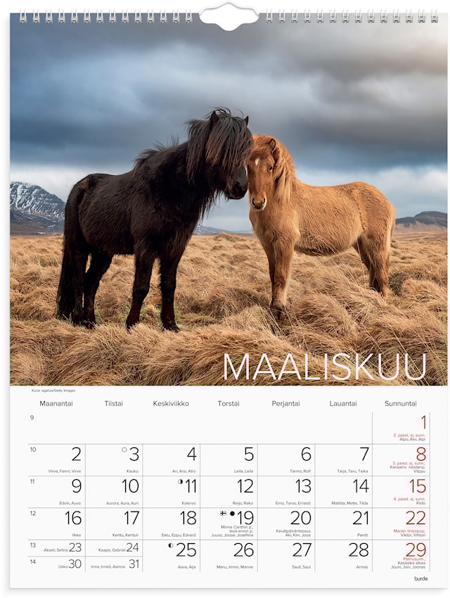 Produktbild 3 för Seinäkalenteri 2026 Hevoset 295x390 mm Burde