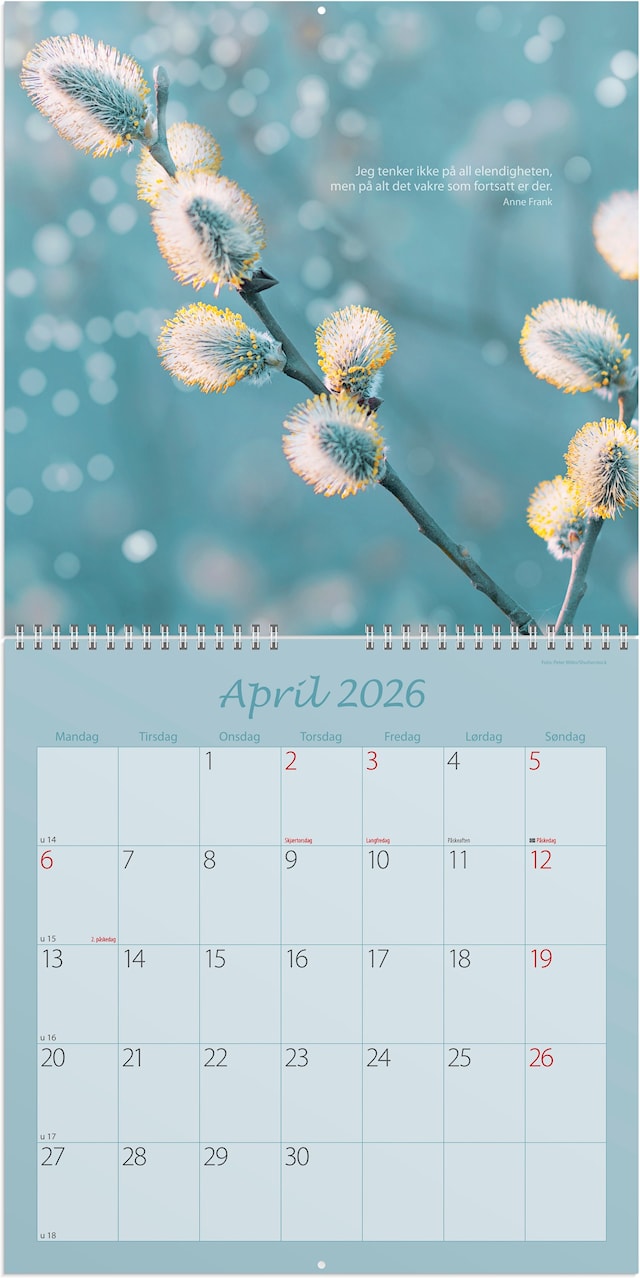 Produktbilde 2 for Billedkalender 2026 Carpe Diem 300x300 mm GRIEG