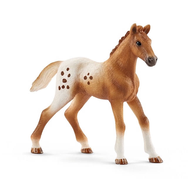Produktbilde 3 for Appaloosa og konkurransesett Horse Club Schleich