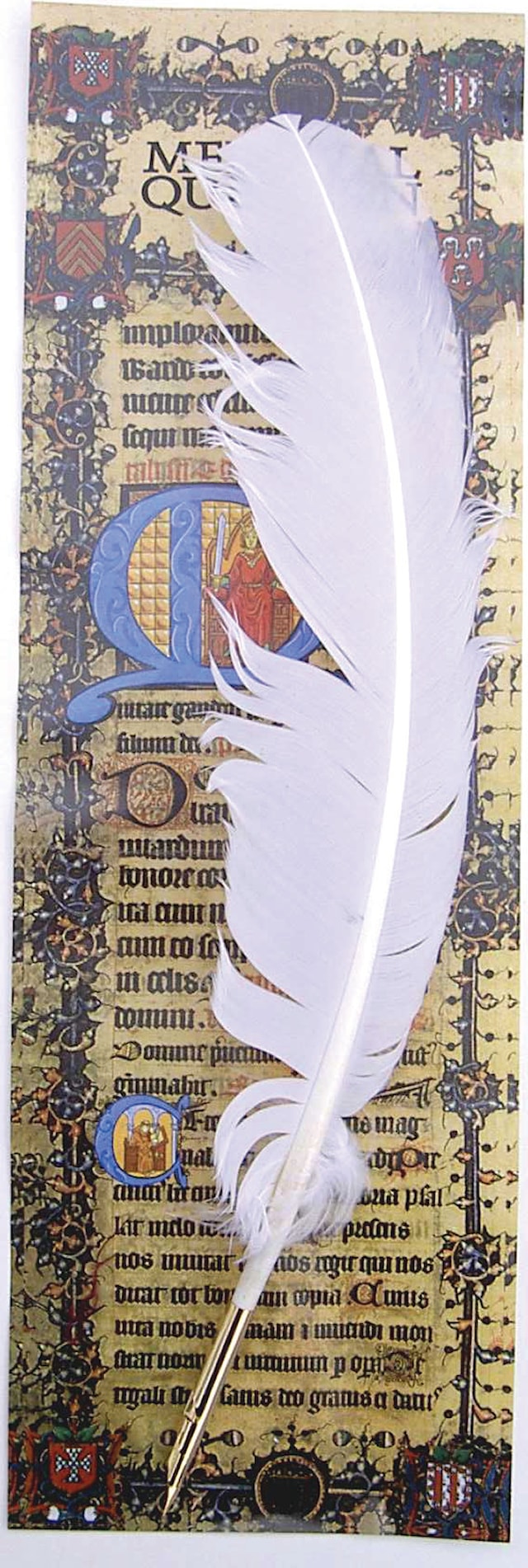 Fyllepenn Kalligrafipunkter Hvit Ancestors