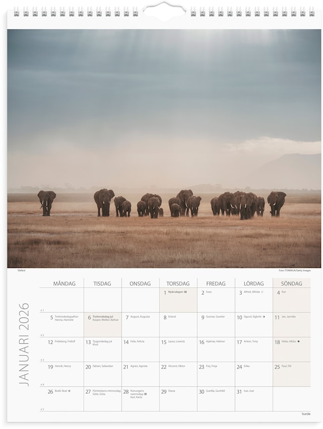 Tuotekuva 2 - Väggkalender 2026 Savannen 295x390 mm Burde