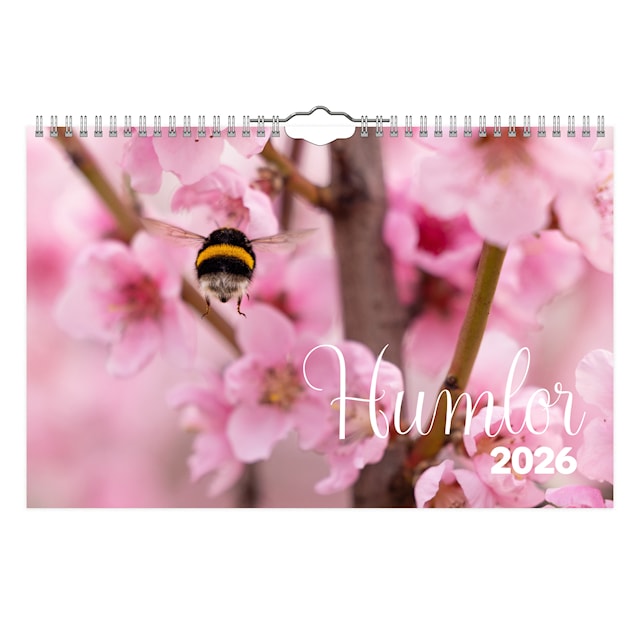 Produktbild 1 för Väggkalender Humlor 2026