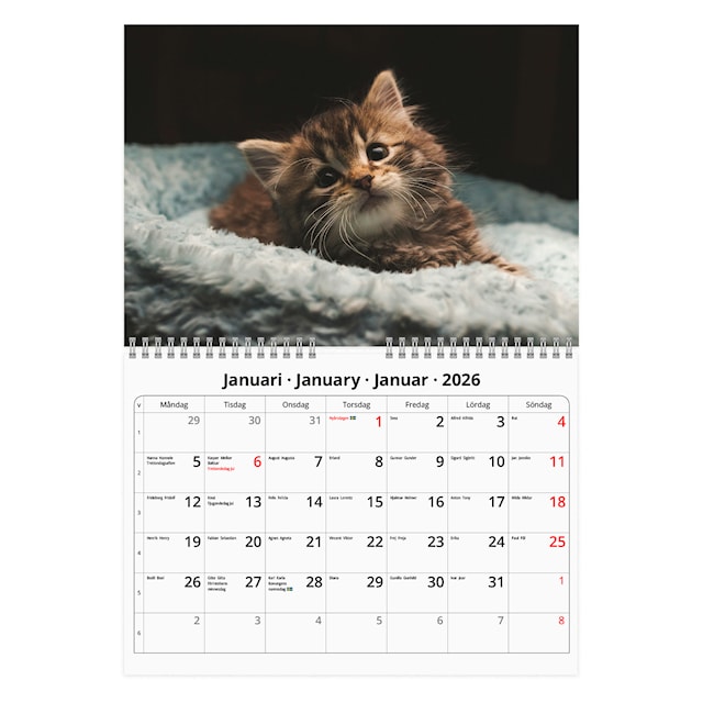 Produktbild 2 för Väggkalender Katter Small 2026