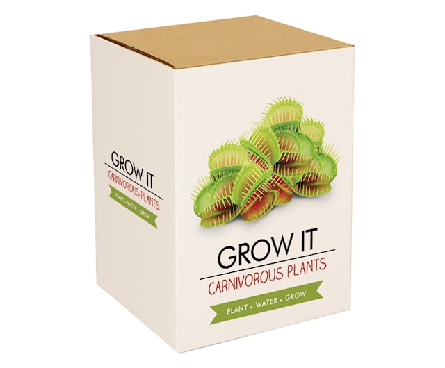 Produktbild 1 för Odlingskit Köttätande Växt Gift Republic Ltd.