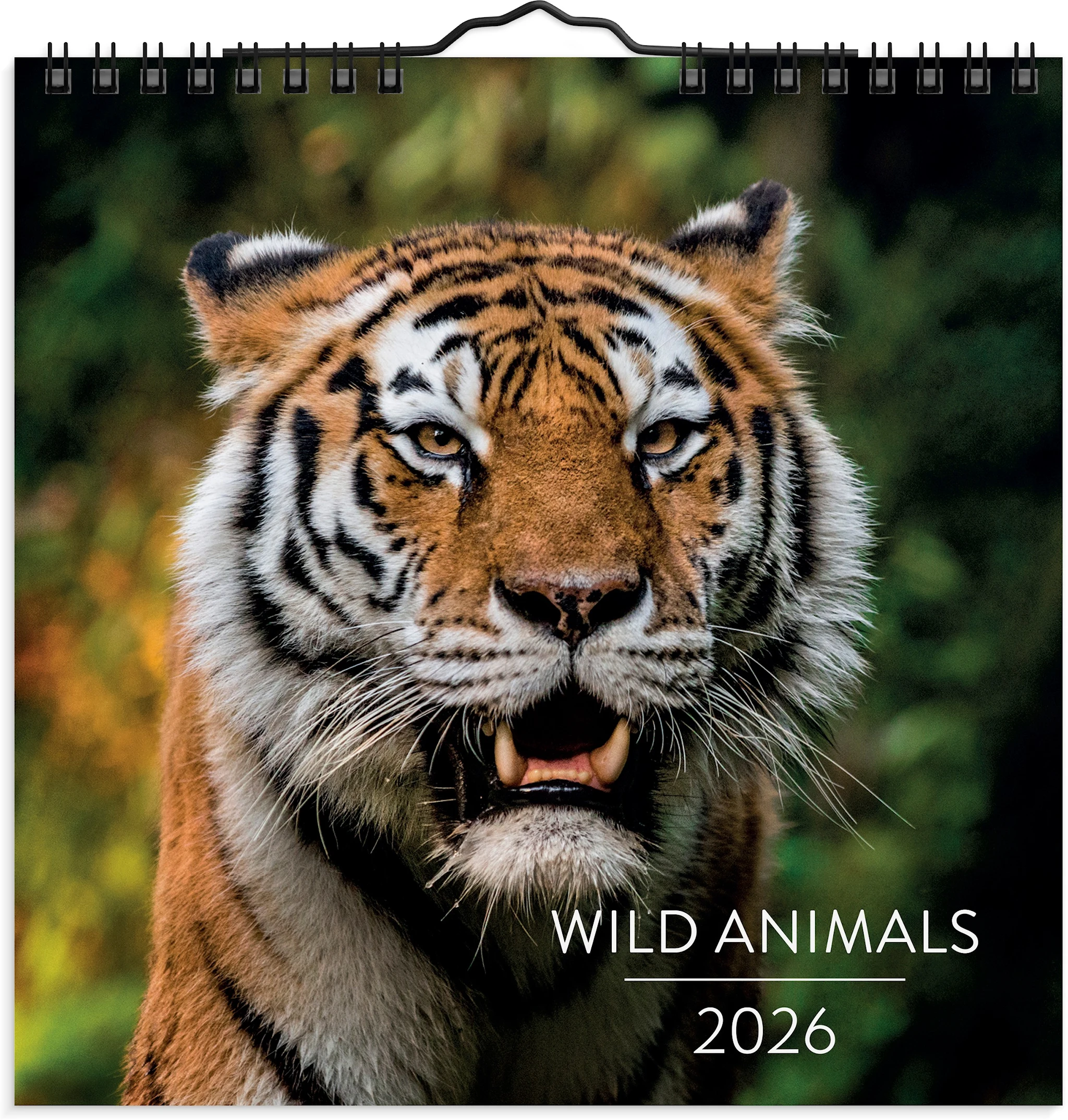 Tuotekuva ille Seinäkalenteri 2026 Wild animals 160x160 mm Burde