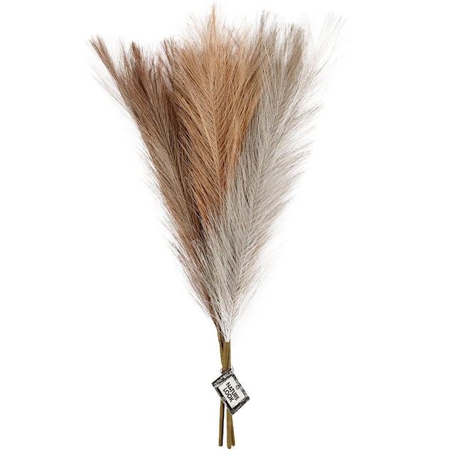 Tuotekuva 2 - Pampas ruoho, Pit. 50 cm, vaalea puuteri, vaaleanruskea, vaaleanharmaa, 3 kpl/ 1 kerä