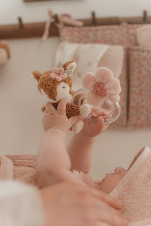 Produktbild 2 för Fairy Garden Skallra Little Dutch