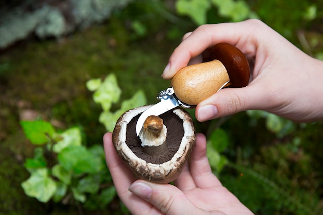 Tuotekuva 2 - Mushroom Tool Keychain; Kikkerland