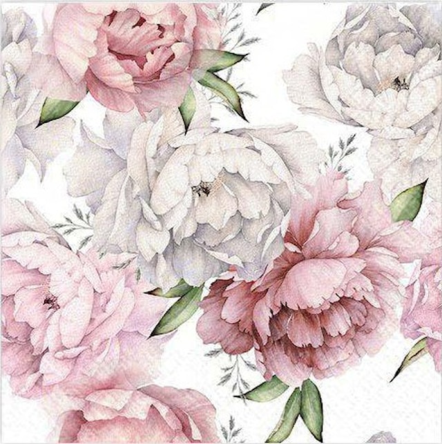 Tuotekuva 1 - Ruokalaput Pionit 20-pack Gullers