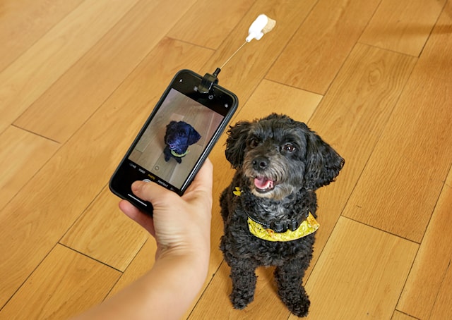 Tuotekuva 1 - Dog Treat Selfie Clip Kobe
