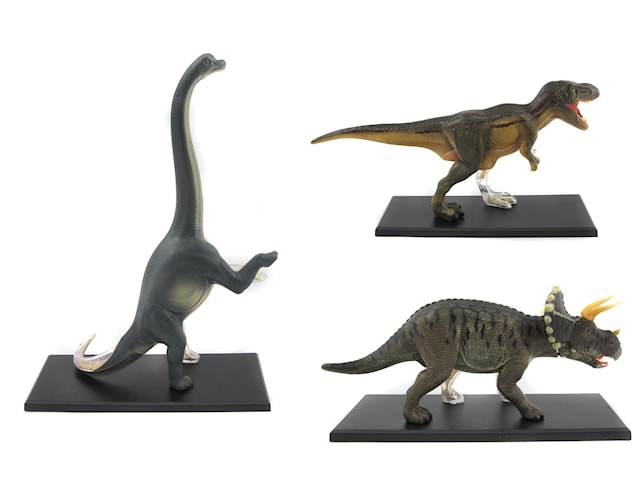 Tuotekuva 2 - Eläinten Anatomia Dinosaur T-Rex 4D Master