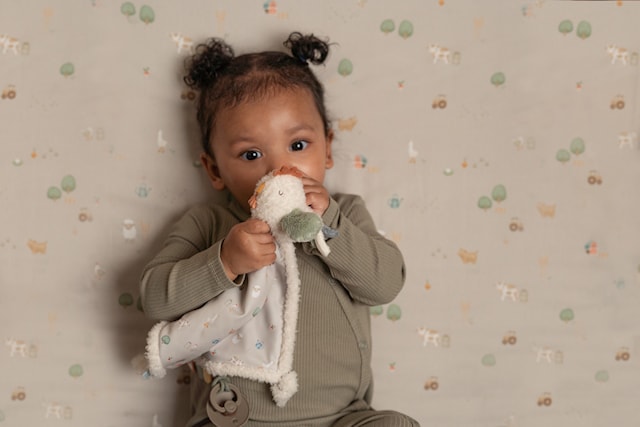 Produktbilde 4 for Little Farm Koseklut Kylling Little Dutch