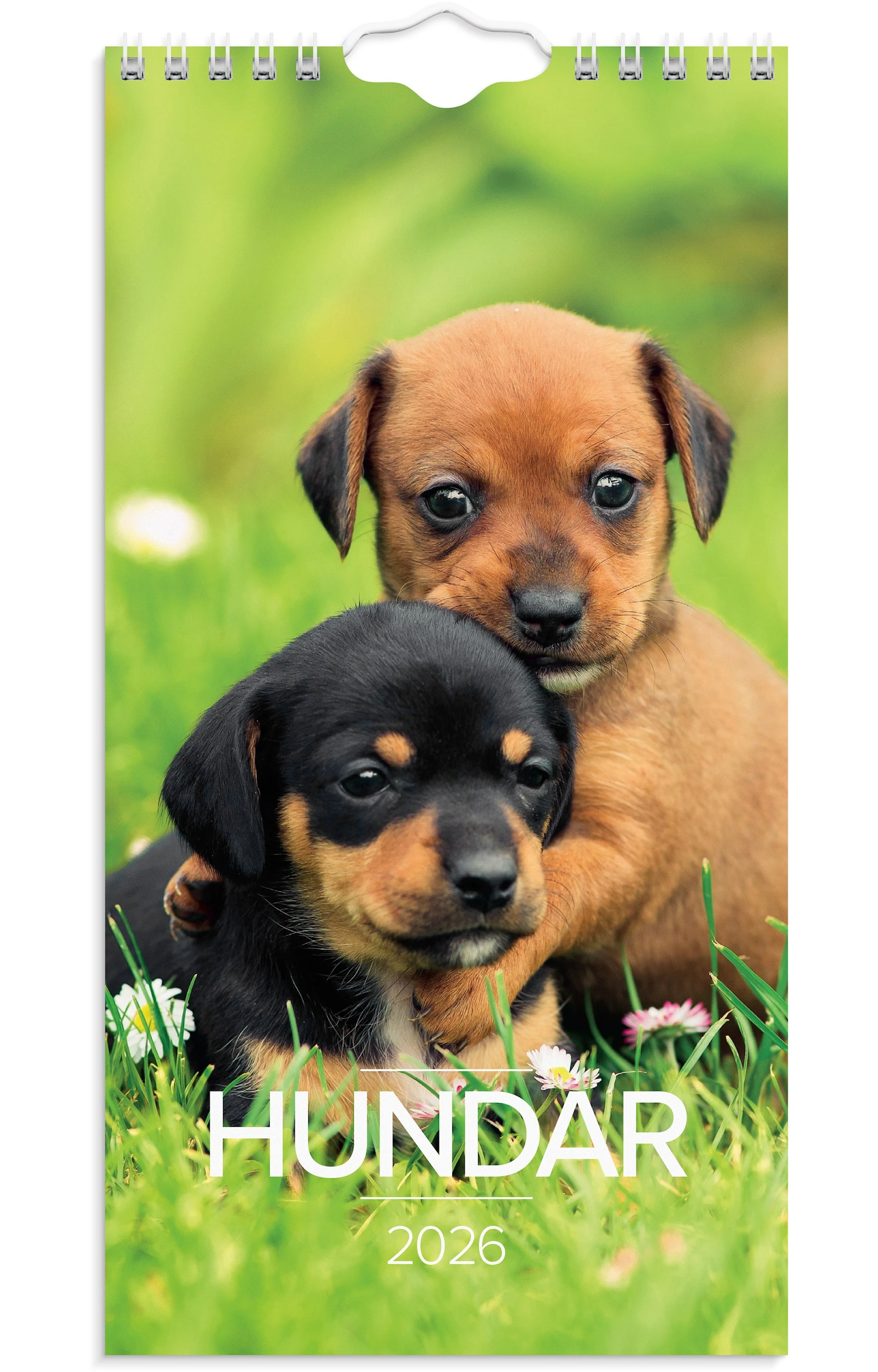 Tuotekuva ille Väggkalender 2026 Liten Hundkalender 120x230 mm Burde