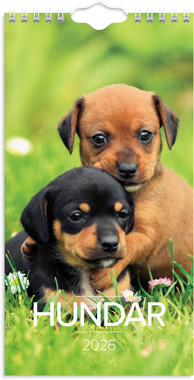 Produktbilde 1 for Väggkalender 2026 Liten Hundkalender 120x230 mm Burde