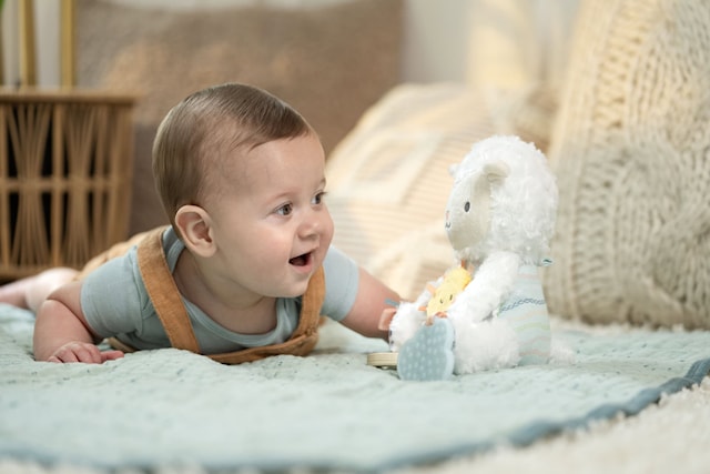 Produktbild 3 för Calm Springs Plyschaktivitetsleksak Sheep Sheppy Ingenuity