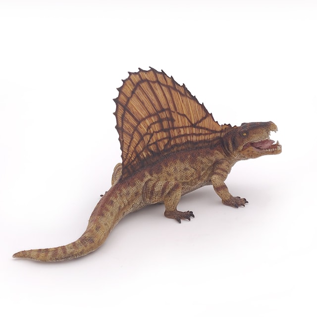 Tuotekuva 4 - Dimetrodon PAPO