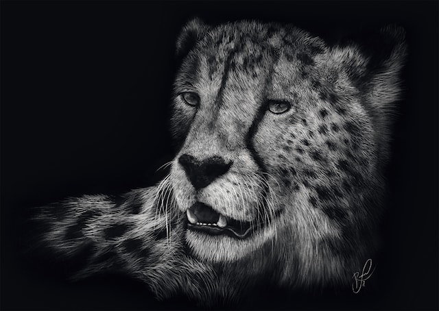 Tuotekuva 2 - Palapelit Speed Cheetah The epitome of grace 1000 palaa, Schmidt