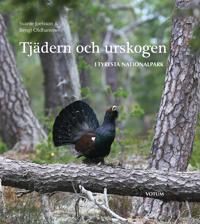 Tjädern och urskogen : i Tyresta nationalpark