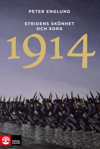 1914 : stridens skönhet och sorg : första världskrigets inledande år i 68 korta kapitel