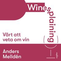 Winesplaining: värt att veta om vin