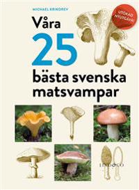 Våra 25 bästa svenska matsvampar