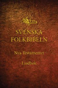 Nya testamentet (Svenska Folkbibeln 15), Ljudbok med bakgrundsmusik