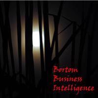 Bortom business intelligence
