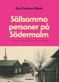 Sällsamma personer på Södermalm : ett stycke Stockholmshistoria underifrån