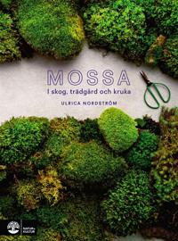 Mossa: I skog, trädgård och kruka