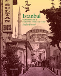 Istanbul : vandringar i Europas största stad